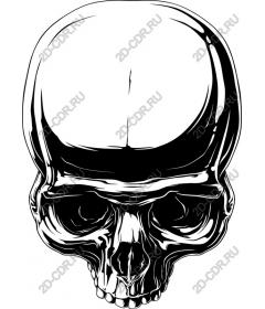  Complex skull and