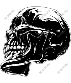  Glossy black skull