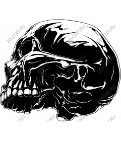  Black and white skull