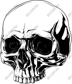Striking skull
