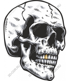 Spicy skull