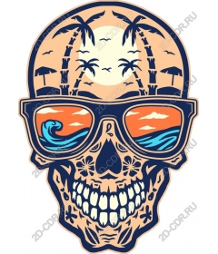 Tropical skull