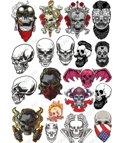 The best set of skulls