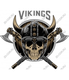  Work with the skull of a Viking