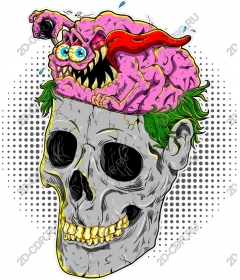  Fancy skull and brain