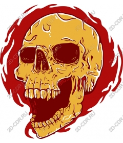  Flaming Skull