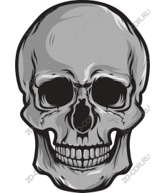  Classic skull
