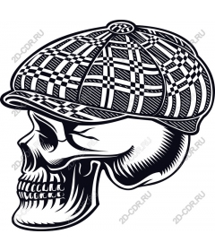 Plaid hat Skull