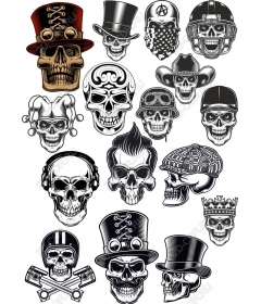 Skull kit