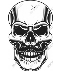 Vintage skull with a mustache