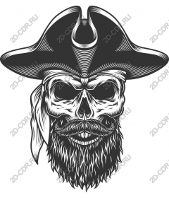Vintage pirate skull