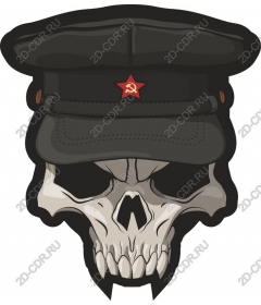  Советский значок черепа