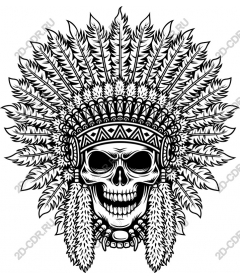 Headdress in the shape of a skull native American