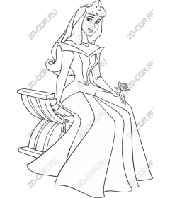  Elegant Princess