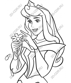  Charming Princess-flower
