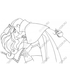  Charming romantic kiss