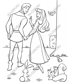 Whimsical couples in nature