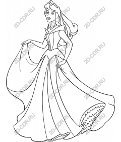  Elegant Princess