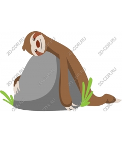  Adorable sloth