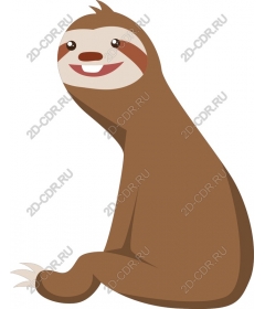  Adorable sloth