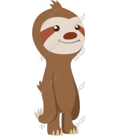  Adorable sloth
