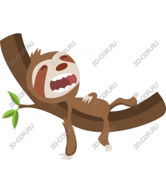  Adorable sloth