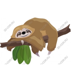  Adorable sloth
