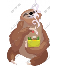  Adorable sloth