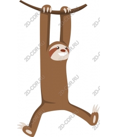 Funny sloth