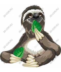  Adorable sloth