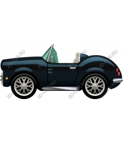  Elegant black convertible