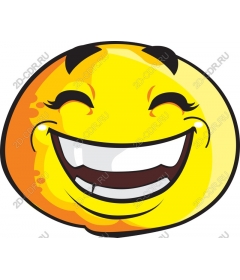  Sunny smiles