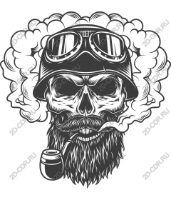 Vintage skull with sunglasses