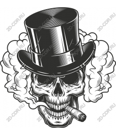  Dapper skull in the cylinder and smoke