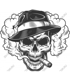 Vintage skull with felt hat