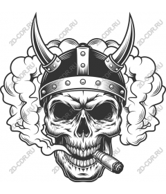  The skull of a Viking