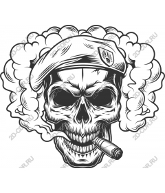  Daring skull with beret and smoke
