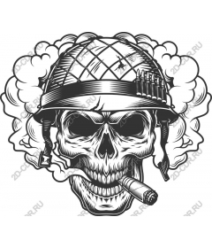  The skull of a warrior in helmet