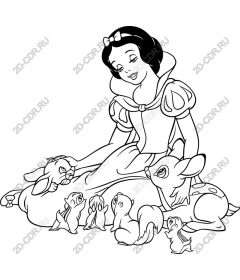  Charming Princess with forest animals