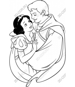  A fabulous novel the Prince and the Princess