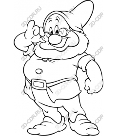 Funny Gnome