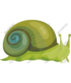  Charming green snail
