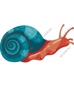  Colourful snail