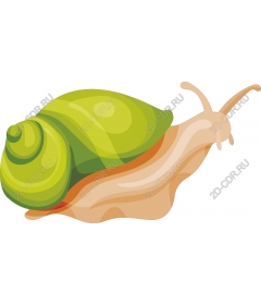 Charming green snail