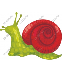  Colorful snail