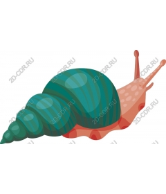  Причудливая улитка