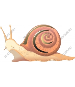  Adorable Snail