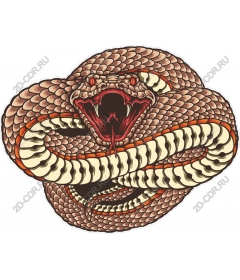  Work Ferocious Snake