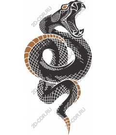  Fierce snake