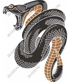  Fierce snake